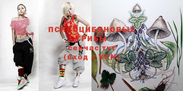 ешки Балахна
