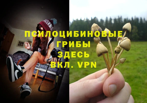 ешки Балахна