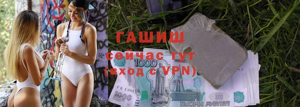 стаф Арсеньев