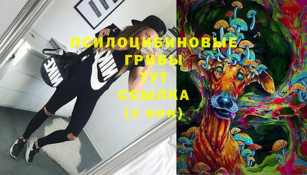 СК Армянск