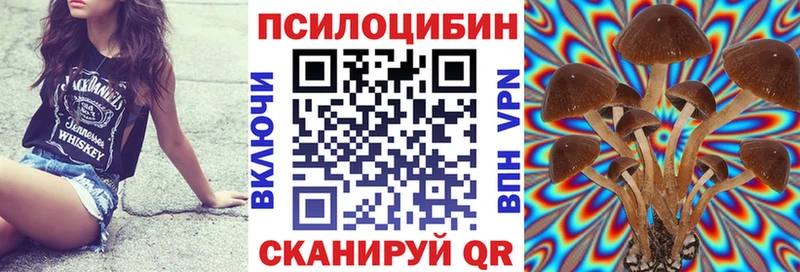 Псилоцибиновые грибы Psilocybe  Балабаново 